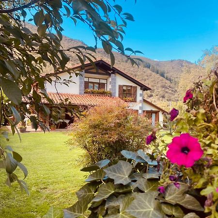 奥耶多Excepcional Casa El Olivo别墅 外观 照片