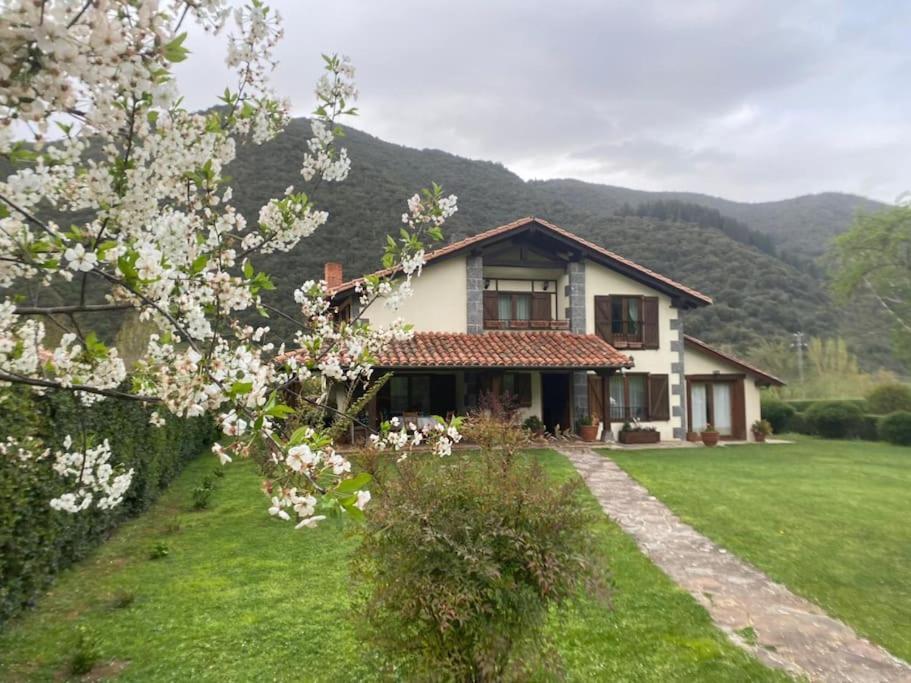 奥耶多Excepcional Casa El Olivo别墅 外观 照片