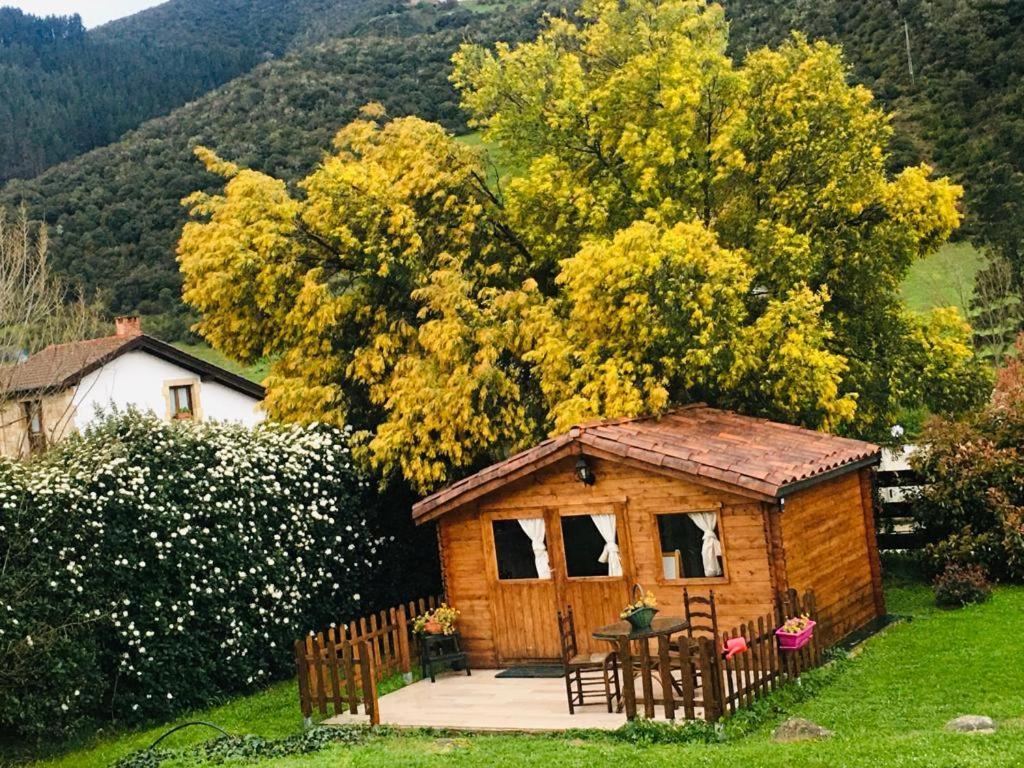 奥耶多Excepcional Casa El Olivo别墅 外观 照片